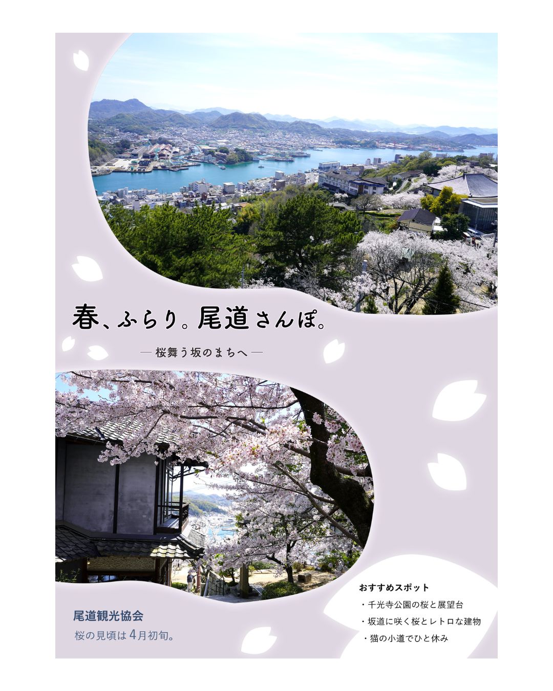 尾道のチラシ